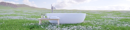 Bathtub in the middle of a meadow with flowers.